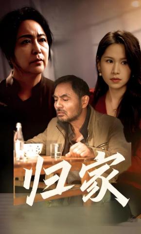短剧归家海报