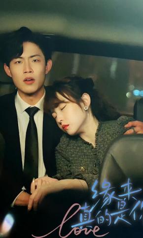 短剧《缘来真的是你》海报