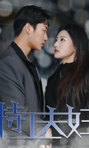 短剧特工夫妇海报