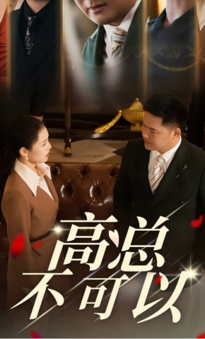 短剧高总不可以海报