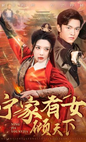 短剧宁家有女倾天下海报