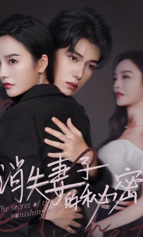 短剧《消失妻子的秘密》海报