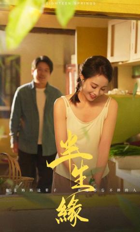 短剧半生缘海报