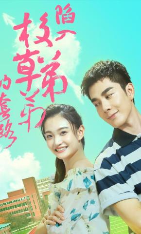 短剧《陷入校草弟弟的套路》海报