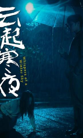 短剧《云起寒夜》海报