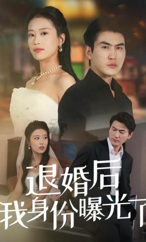 短剧《退婚后我身份曝光了》海报