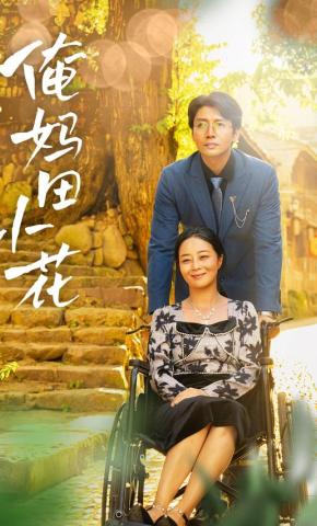 短剧俺妈田小花海报