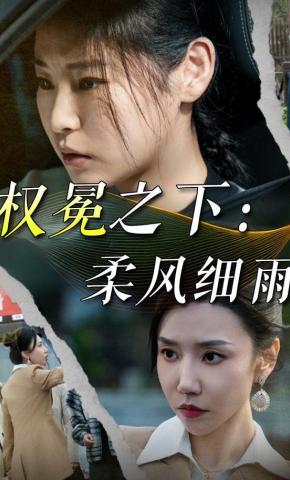 短剧《权冕之下：柔风细雨》海报