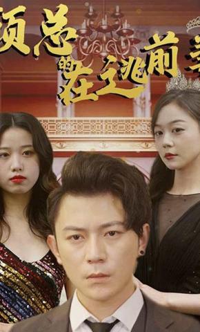 短剧顾总的在逃前妻海报