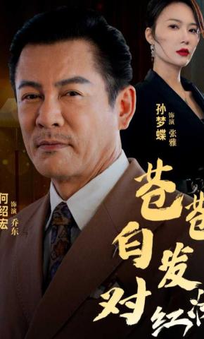 短剧《苍苍白发对红妆》海报