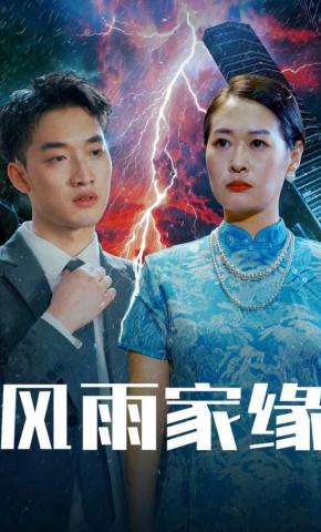 短剧风雨家缘海报