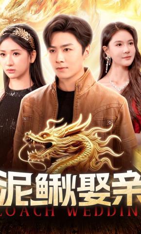 短剧《泥鳅娶亲》海报