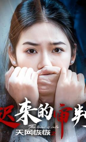 短剧《天网恢恢之迟来的审判》海报