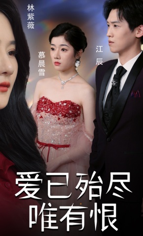 短剧爱已殆尽唯有恨海报