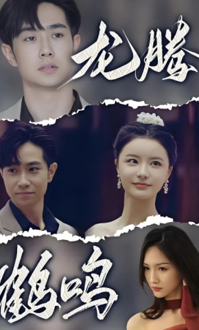 短剧龙腾鹤鸣海报