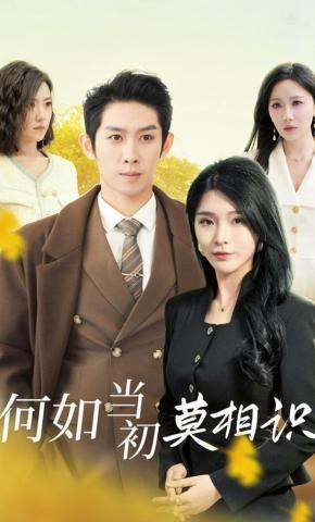 短剧《何如当初莫相识》海报