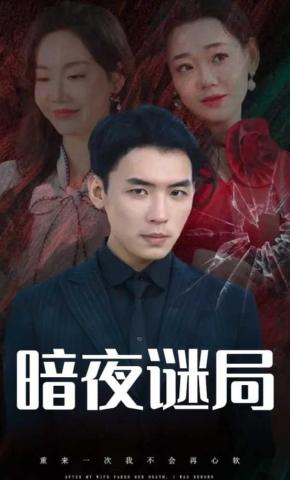 短剧《暗夜谜局》海报