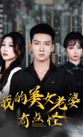 短剧我的美女老婆有点怪海报