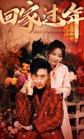 短剧《回家过年》海报