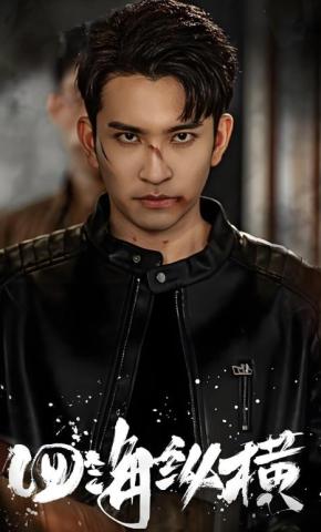 短剧四海纵横海报