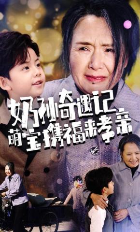短剧《奶孙奇遇记萌宝携福来孝亲》海报