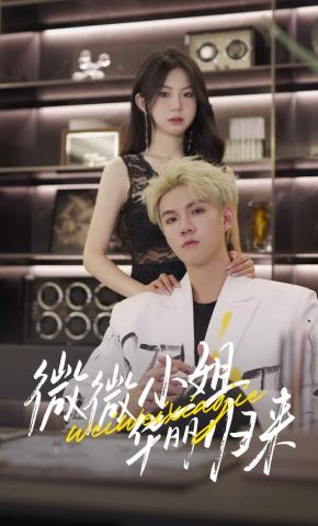 短剧微微小姐华丽归来海报