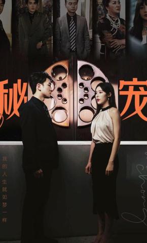 短剧《秘宠》海报