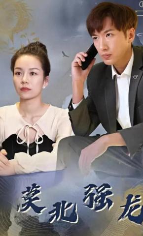 短剧《漠北强龙》海报