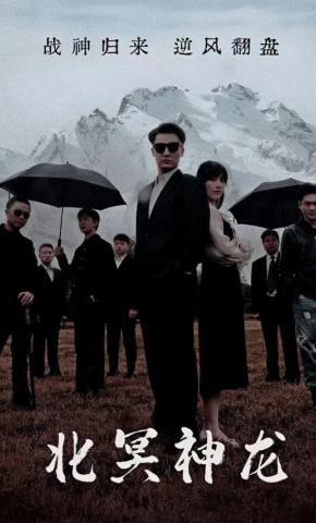 短剧北冥神龙海报