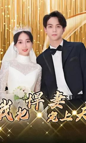 短剧我把悍妻宠上天海报