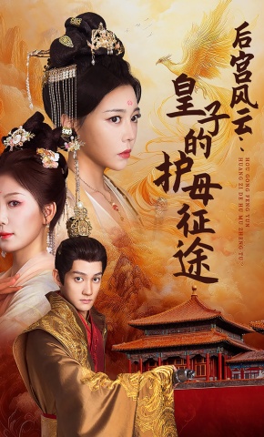 短剧《后宫风云：皇子的护母征途》海报