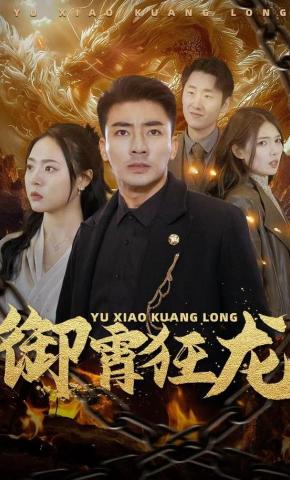 短剧《御霄狂龙》海报