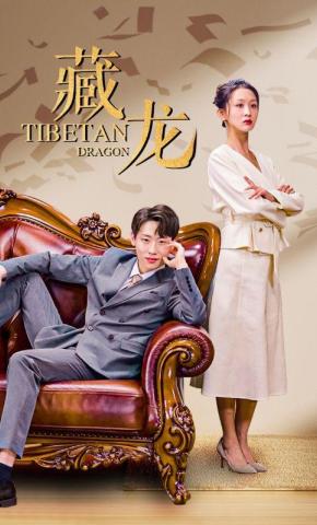 短剧《藏龙》海报