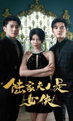 短剧《陆家夫人是女侠》海报