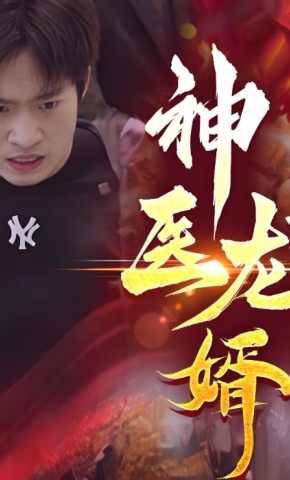 短剧神医龙婿海报