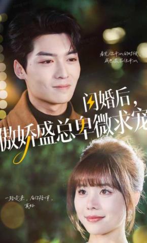 短剧《闪婚后，傲娇盛总卑微求宠》海报