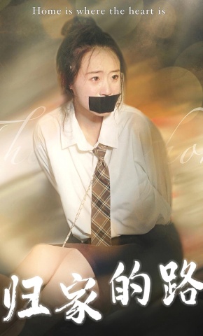 短剧归家的路海报