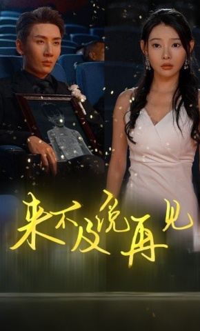 短剧来不及说再见海报