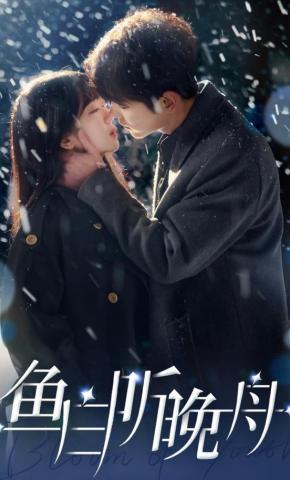 短剧《鱼白听晚舟》海报