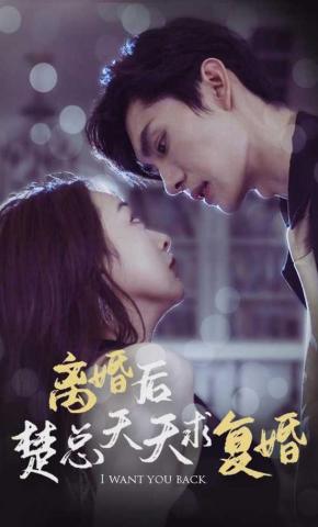 短剧离婚后楚总天天求复婚海报