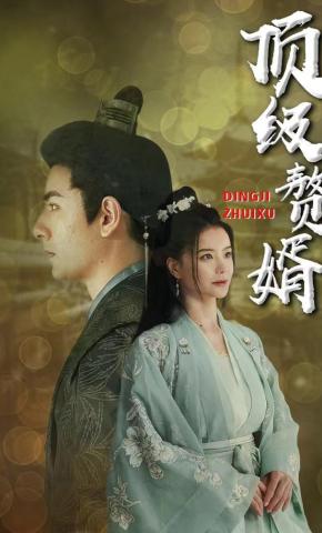 短剧顶级赘婿海报