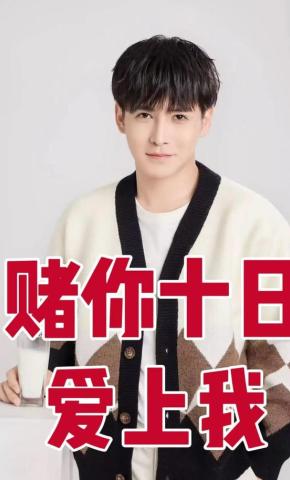 短剧赌你十日爱上我海报