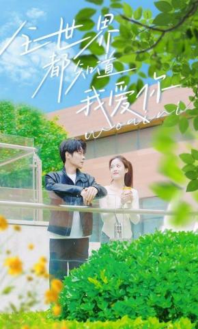 短剧全世界都知道我爱你海报