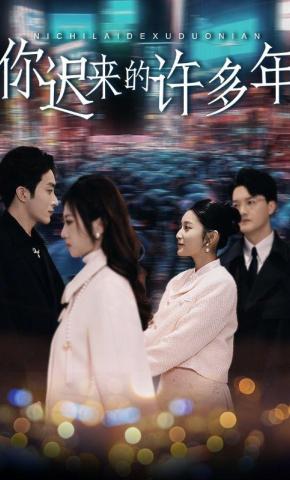短剧你迟来的许多年海报
