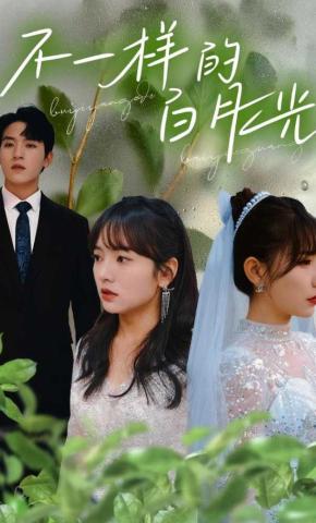 短剧不一样的白月光海报