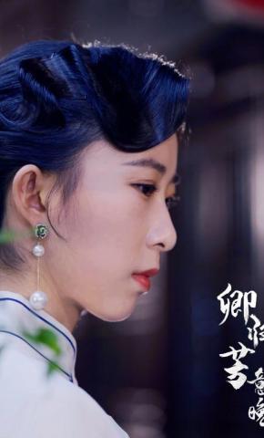 短剧卿归芳意晚海报