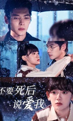 短剧《不要死后说爱我》海报