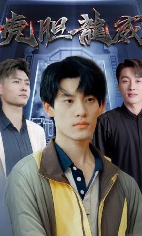 短剧《虎胆龙威》海报