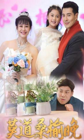 短剧《莫道桑榆晚》海报