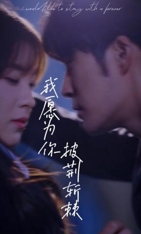 短剧我愿为你披荆斩棘海报